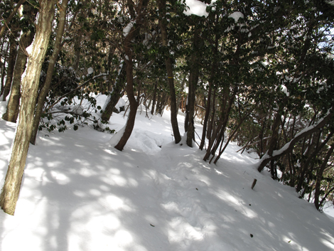 20140211hike (122)